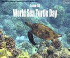 Παγκόσμια Ημέρα Θαλάσσιας Χελώνας